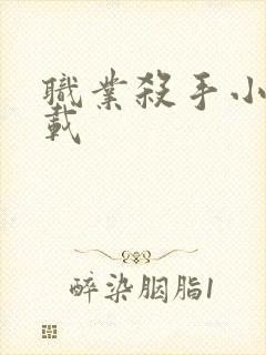 职业杀手小说下载