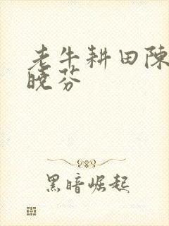 老牛耕田陈雪杨晓芬