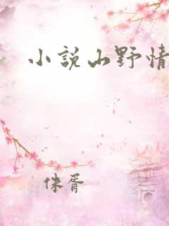 小说山野情债