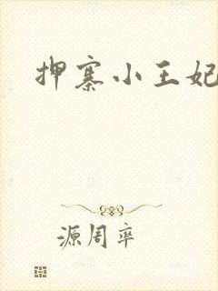 押寨小王妃