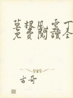 草根风云丁长生免费阅读全本