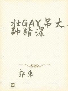壮GAY吊大人帅精浓