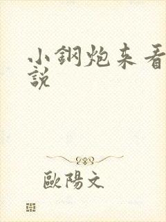 小钢炮来看我小说