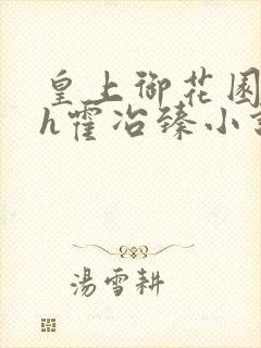 皇上御花园Hlh霍冶臻小说