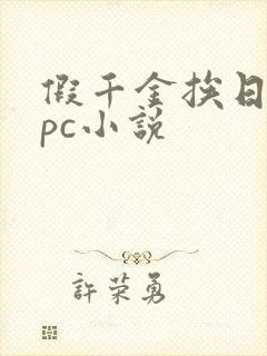 假千金挨日记npc小说