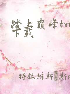 踏上巅峰txt下载