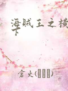 海贼王之横行天下