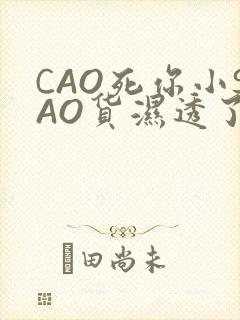 CAO死你小SAO货湿透了学长