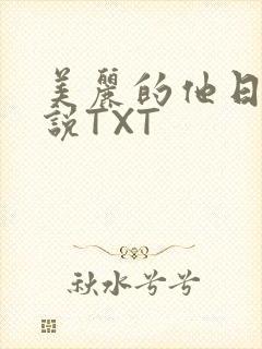 美丽的他日剧小说TXT