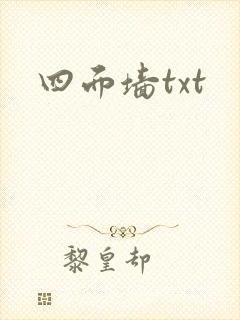 四面墙txt