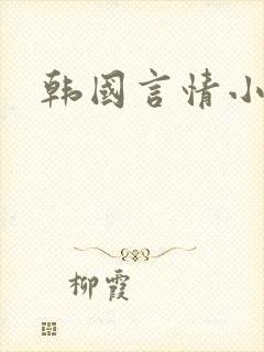 韩国言情小说