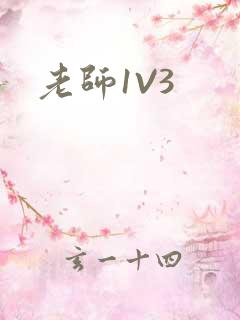 老师1V3