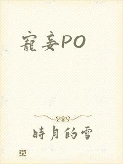 宠妾PO