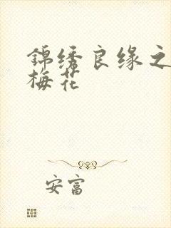 锦绣良缘之驿寄梅花