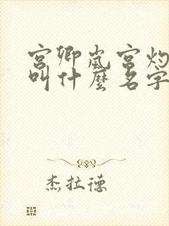 宫卿岚宫灼小说叫什么名字