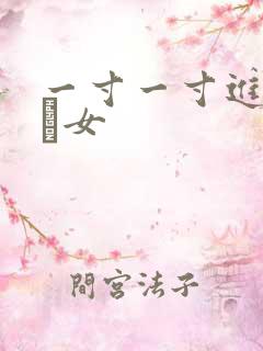 一寸一寸进入小姪女