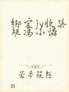 绑定jy收集系统冯小怜