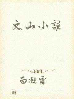 文山小说