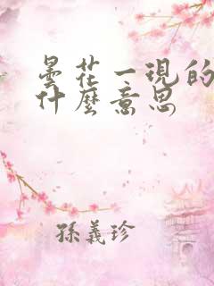 昙花一现的现是什么意思