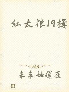 红太狼19楼