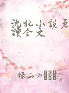 沈北小说免费阅读全文