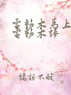 电动木马上两个电动木棒