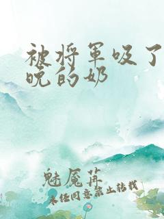 被将军吸了一整晚的奶