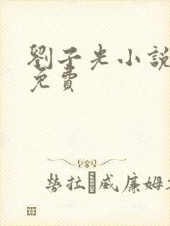 刘子光小说全文免费