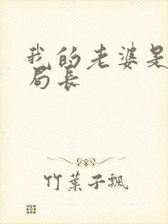 我的老婆是警察局长