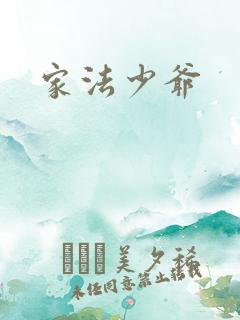 家法少爷