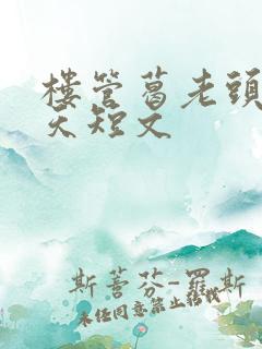 楼管葛老头的春天短文