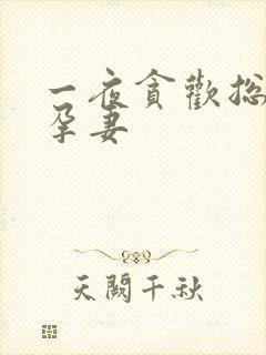 一夜贪欢总裁幸孕妻