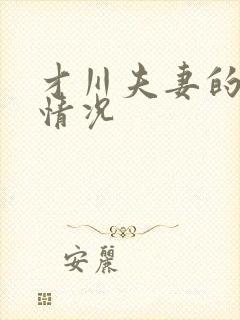 才川夫妻的恋爱情况