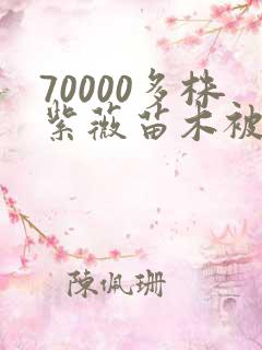 70000多株紫薇苗木被强毁