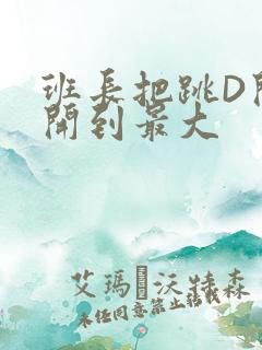 班长把跳D开关开到最大