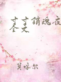 寸寸销魂夜春光全文