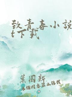 致青春小说txt下载