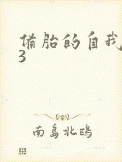 备胎的自我修养3