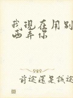 我现在用别的东西弄你