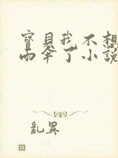 宝贝我不想带小雨伞了小说