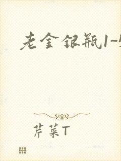 老金银瓶1-5