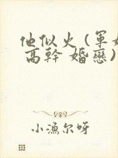 他似火 (军婚 高干 婚恋)小说免费阅读