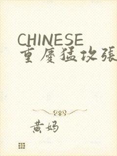 CHINESE重庆猛攻张先生