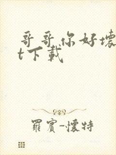 哥哥你好坏txt下载