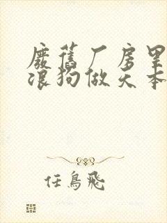 废旧厂房里和流浪狗做天本