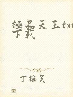极品天王txt下载