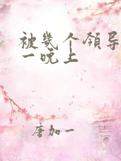 被几个领导玩弄一晚上