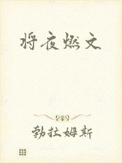 将夜燃文
