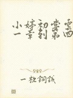 小婷初尝云雨第一章到第四章