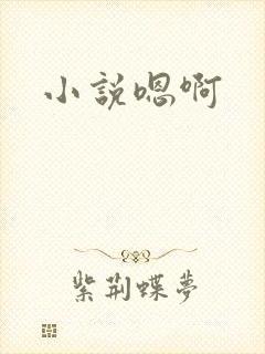 小说嗯啊